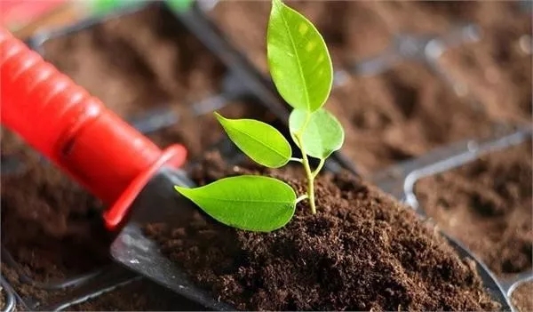 土壤墑情環(huán)境監(jiān)測(cè)/檢測(cè)的過程是什么樣的