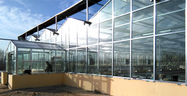 智慧農業物聯網技術與精準農業的發展 智慧農業物聯網技術與精準農業的發展