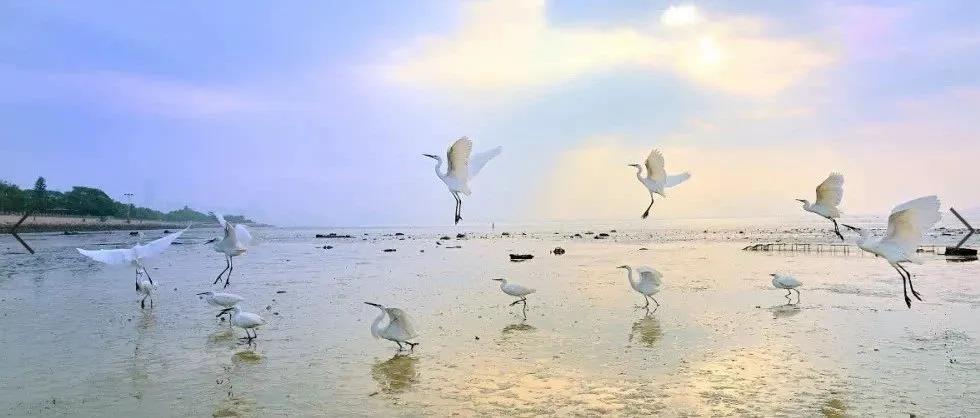 深圳市市生態(tài)環(huán)境保護(hù)委員會(huì)第一次會(huì)議召開 深圳市市生態(tài)環(huán)境保護(hù)委員會(huì)第一次會(huì)議召開