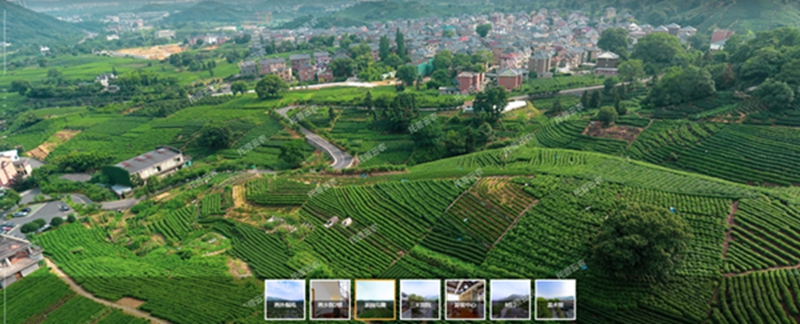 什么智慧茶園？