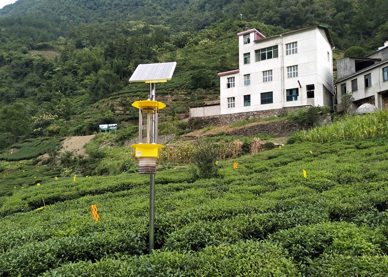 高標準智慧高山茶園解決方案 高標準智慧高山茶園解決方案