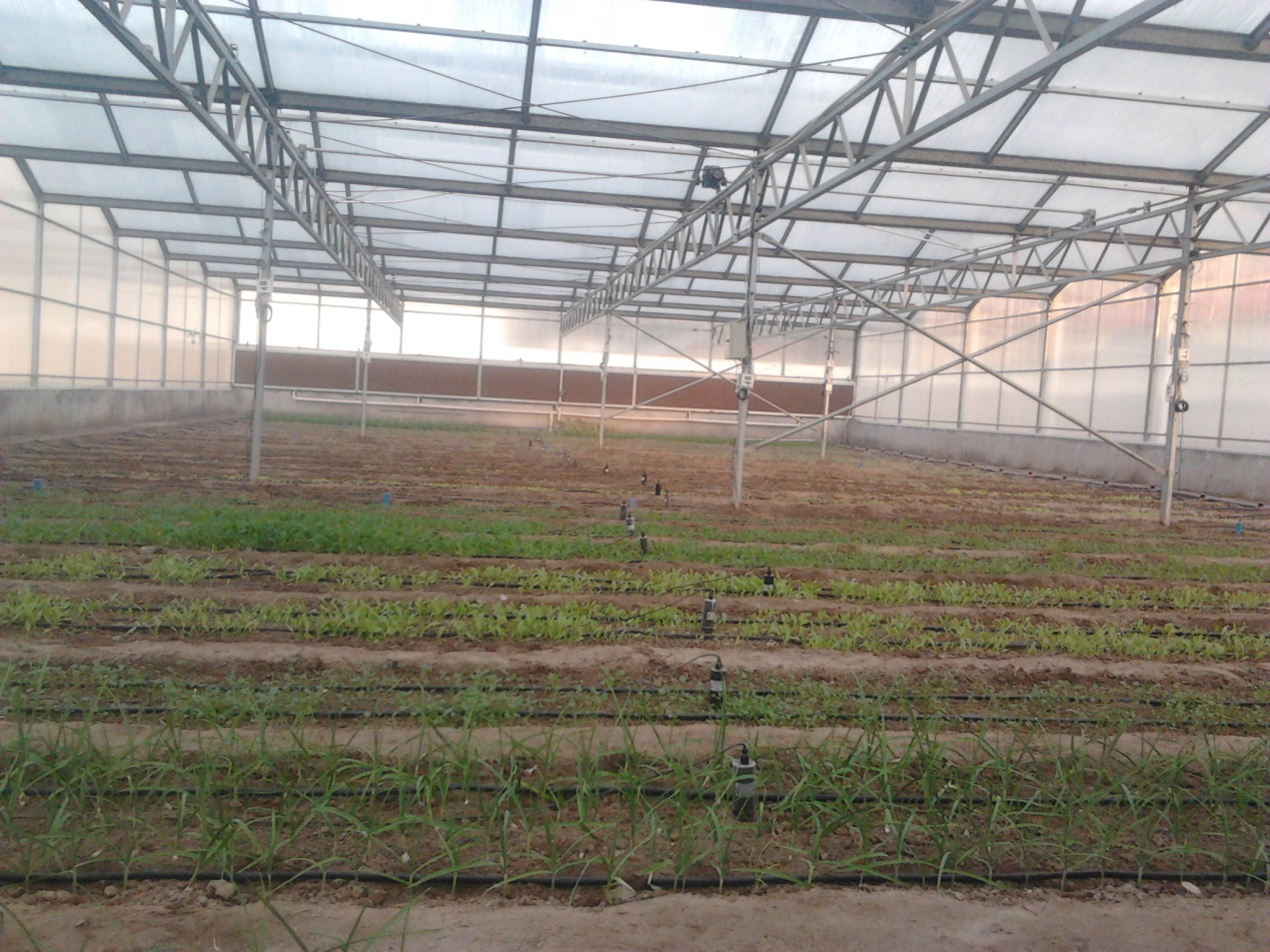 智慧農業水肥一體化灌溉技術解決方案