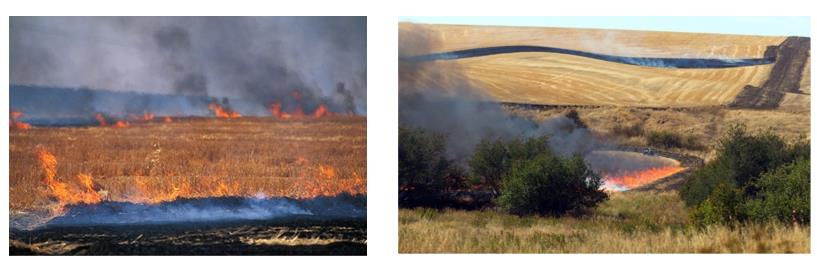 森林防火在線監測系統設備