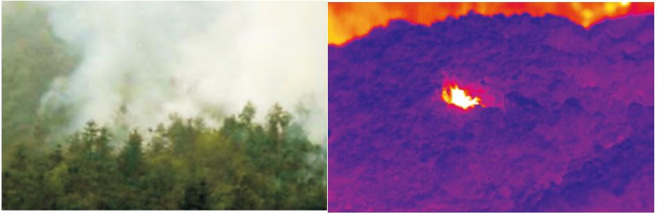 森林火險預警系統產品方案 森林火險預警系統產品方案