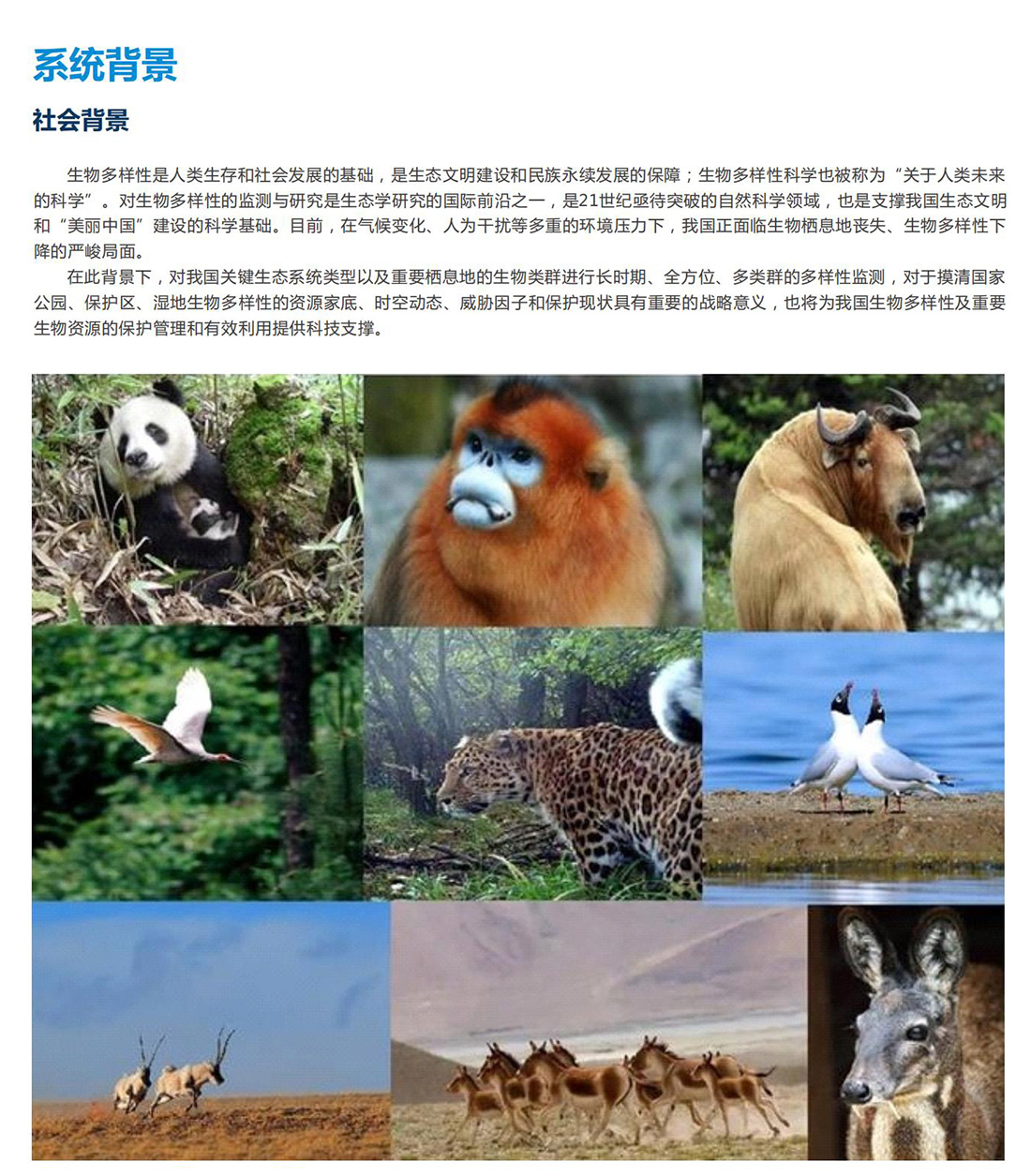 生態(tài)保護(hù)區(qū)動(dòng)植物環(huán)境監(jiān)測系統(tǒng)方案